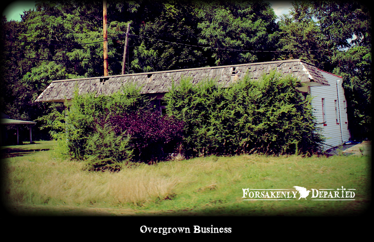 Overgrown Business